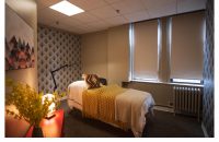 Beautiful - Treatment room for Esthetician, PMU artist, Acupuncture, Bodywork